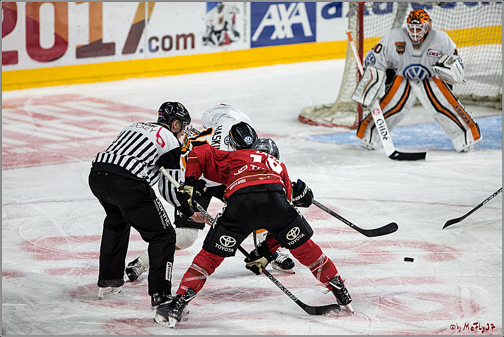 DEL, Koelner Haie - Grizzlys Wolfsburg, 17.03.2017